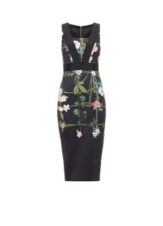 Ted Baker Secret Trellis kokerjurk met botanisch dessin zwart